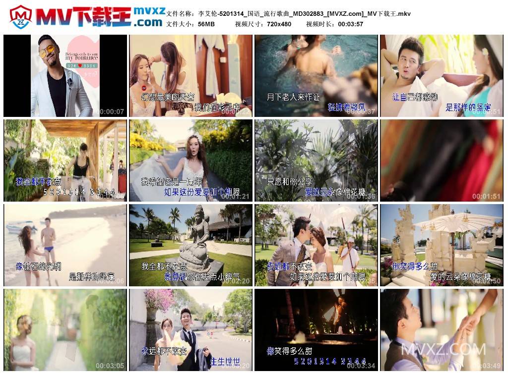 李艾伦-5201314_国语_流行歌曲_MD302883